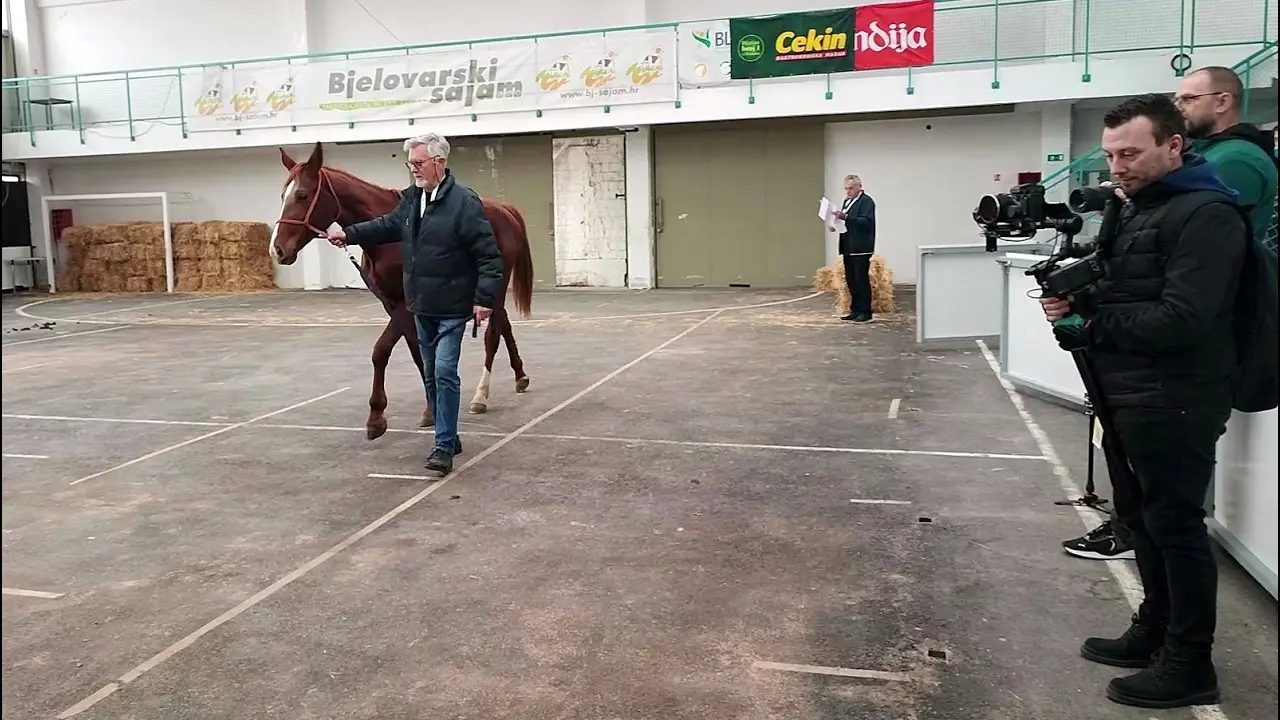 27. PMBS - Predvođenje Gidrana